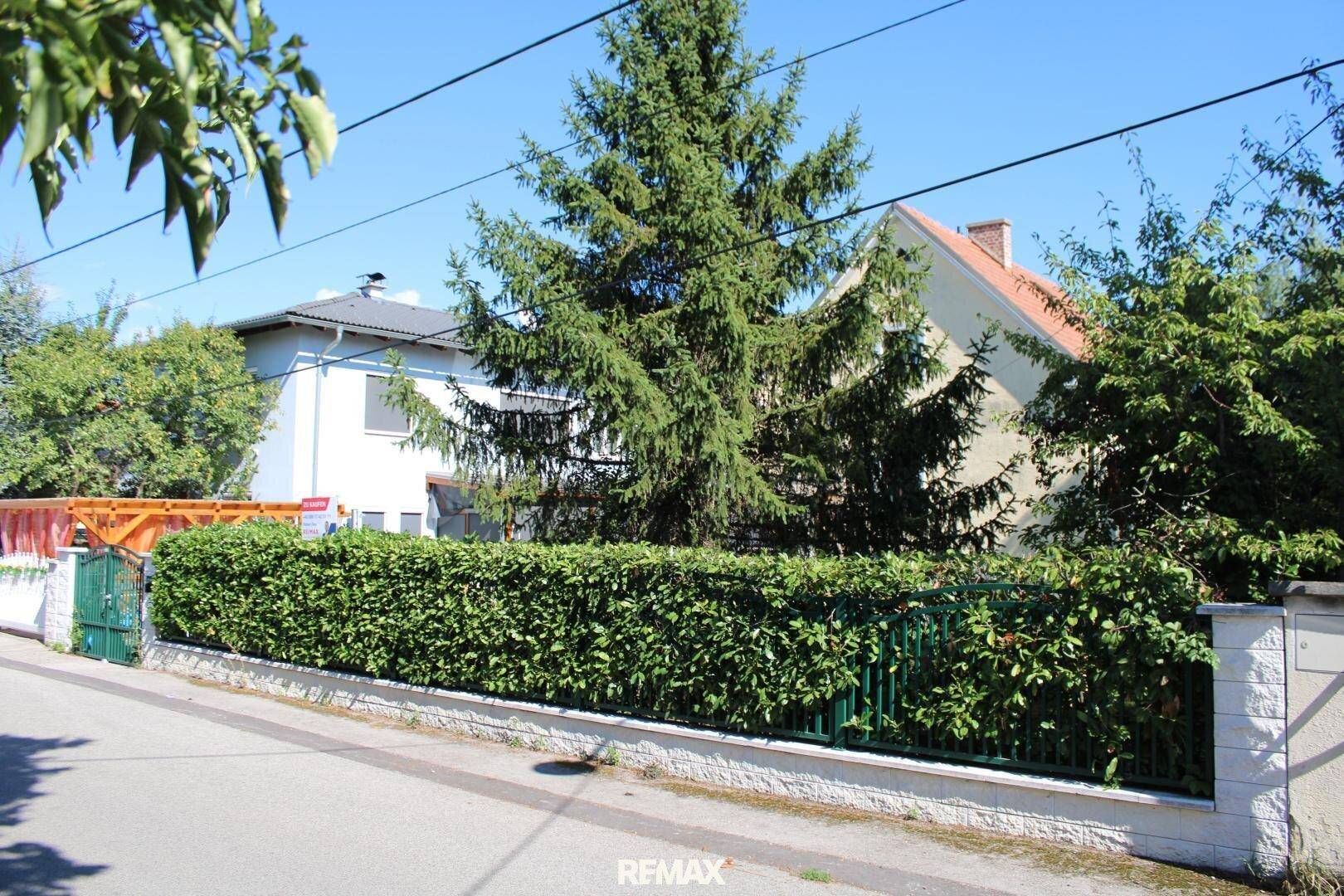 Blick von der Straße auf die grüne Hecke und das Nachbarhaus unter klarem Himmel.