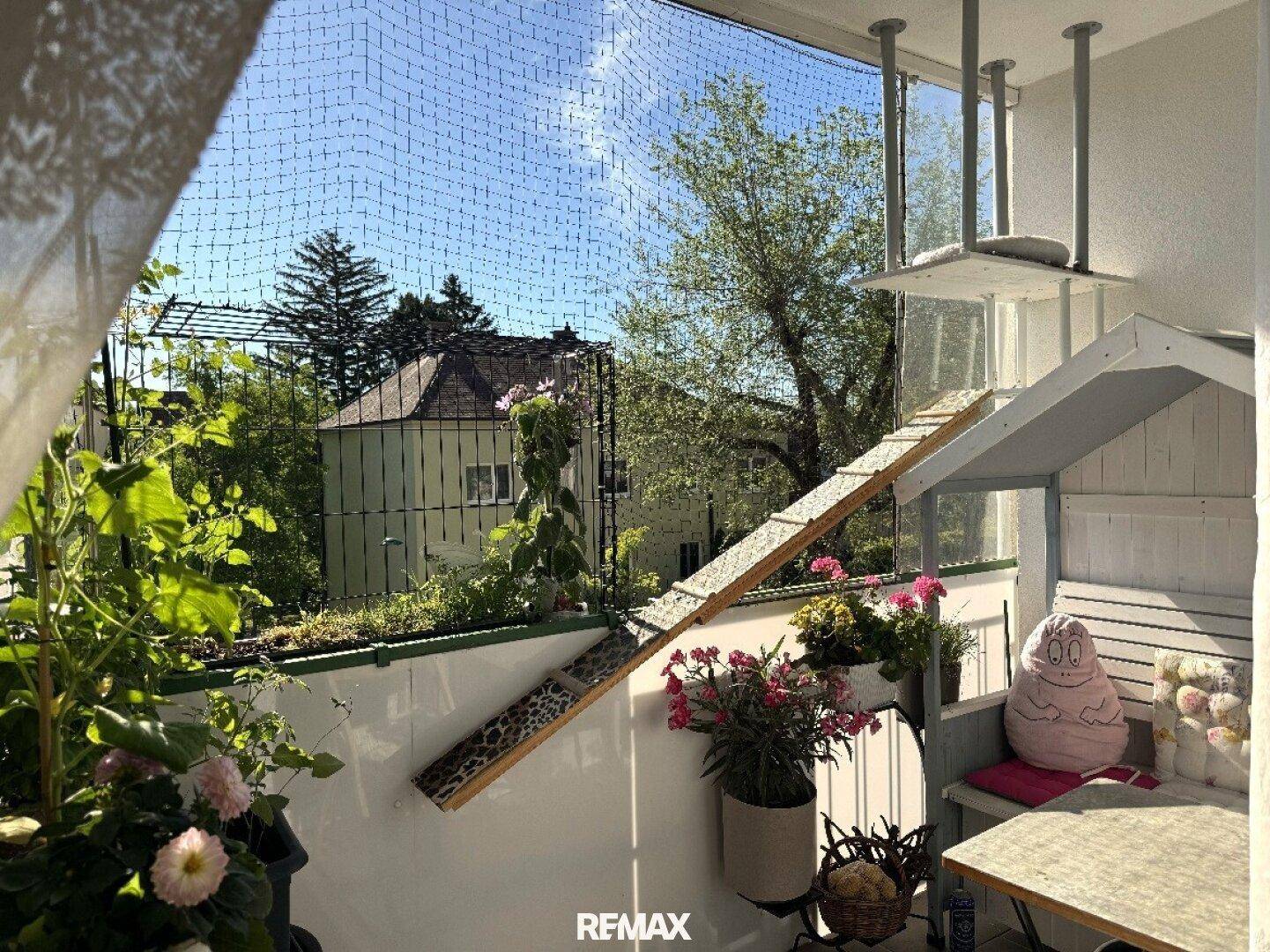 Sonniger Balkon mit Pflanzen, Sitzgelegenheiten und einem Katzenklettergerüst, umgeben von Grün.