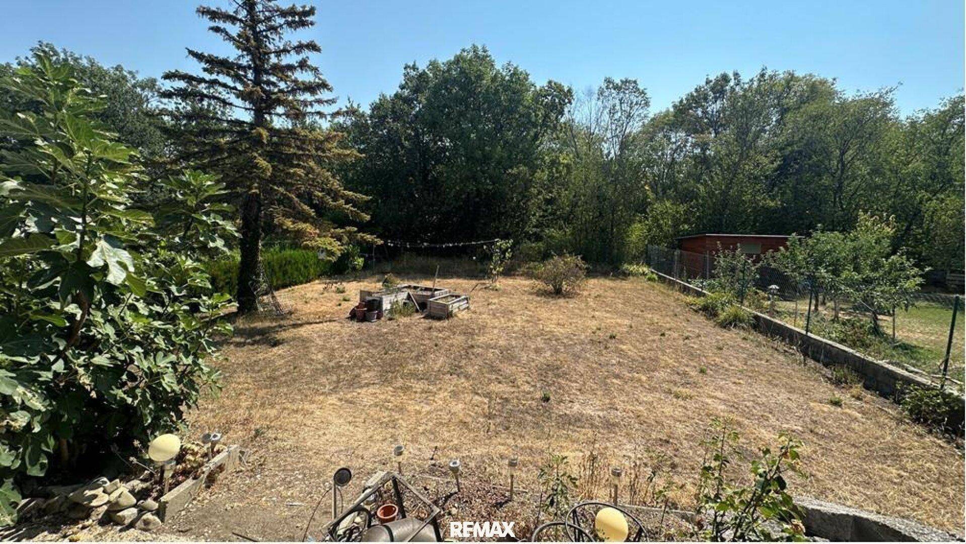 Trockener Gartenbereich mit Bäumen und Sträuchern, der auf eine Neugestaltung wartet.