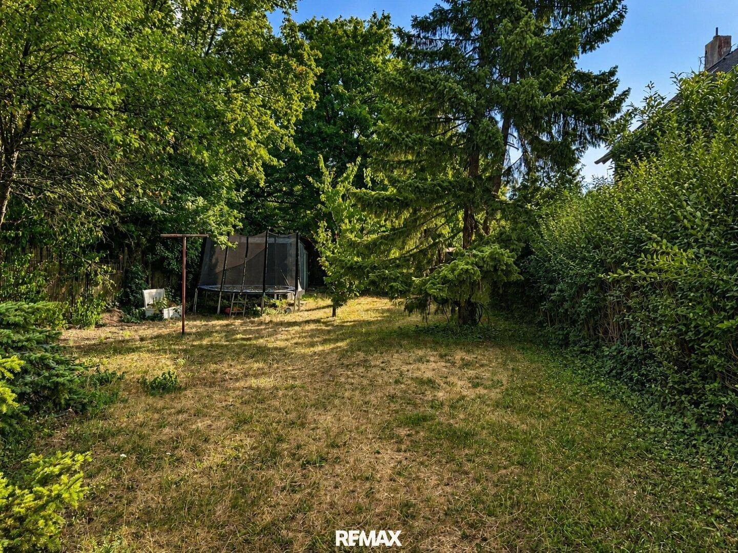 Grüner Gartenbereich mit Rasenfläche, hohen Bäumen und einem Trampolin für Freizeitaktivitäten.