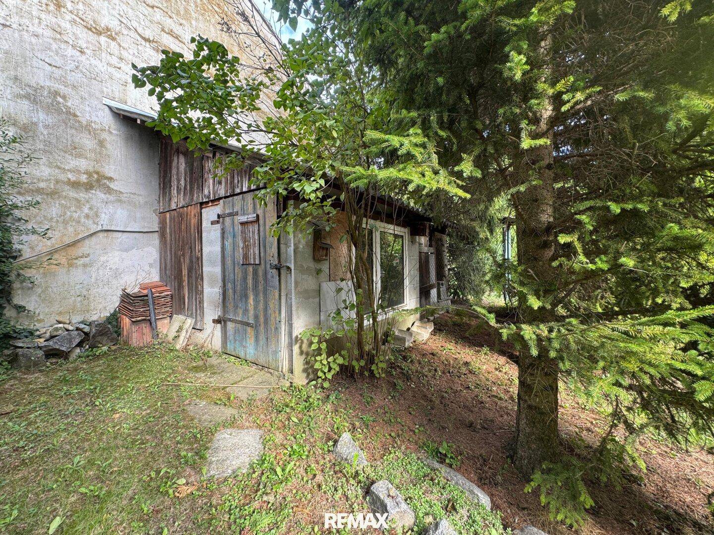 Naturbelassener Gartenbereich mit altem Baumbestand und einem Nebengebäude.