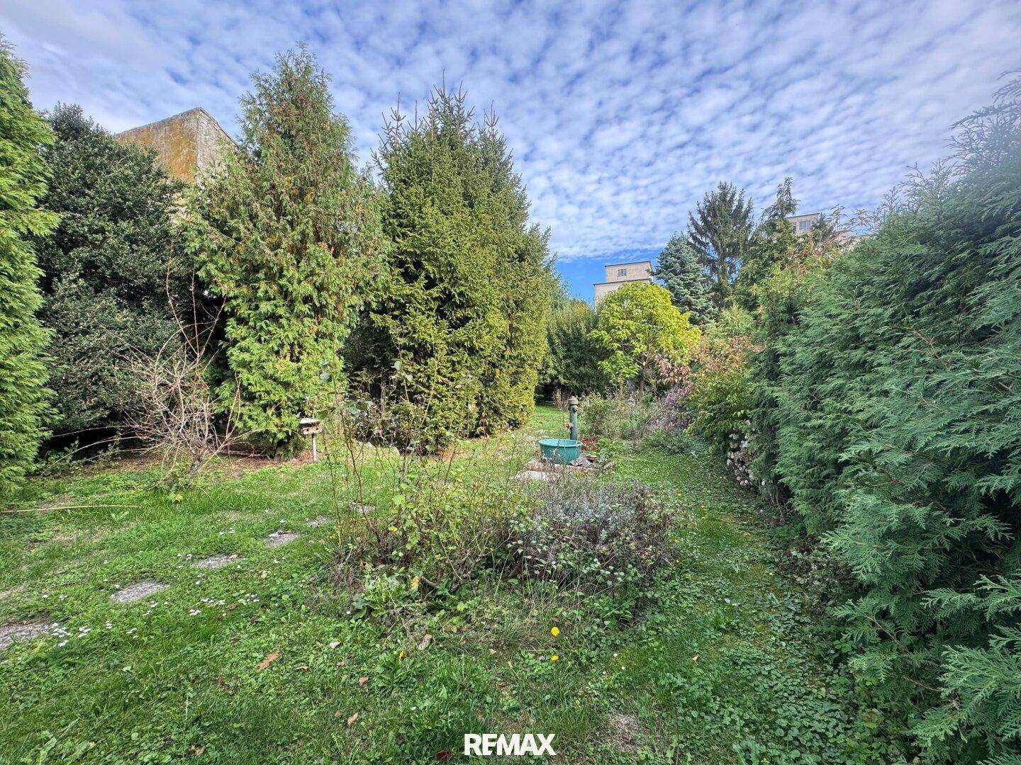 Großer, naturbelassener Garten mit vielen Bäumen und Sträuchern, ideal zum Entspannen.