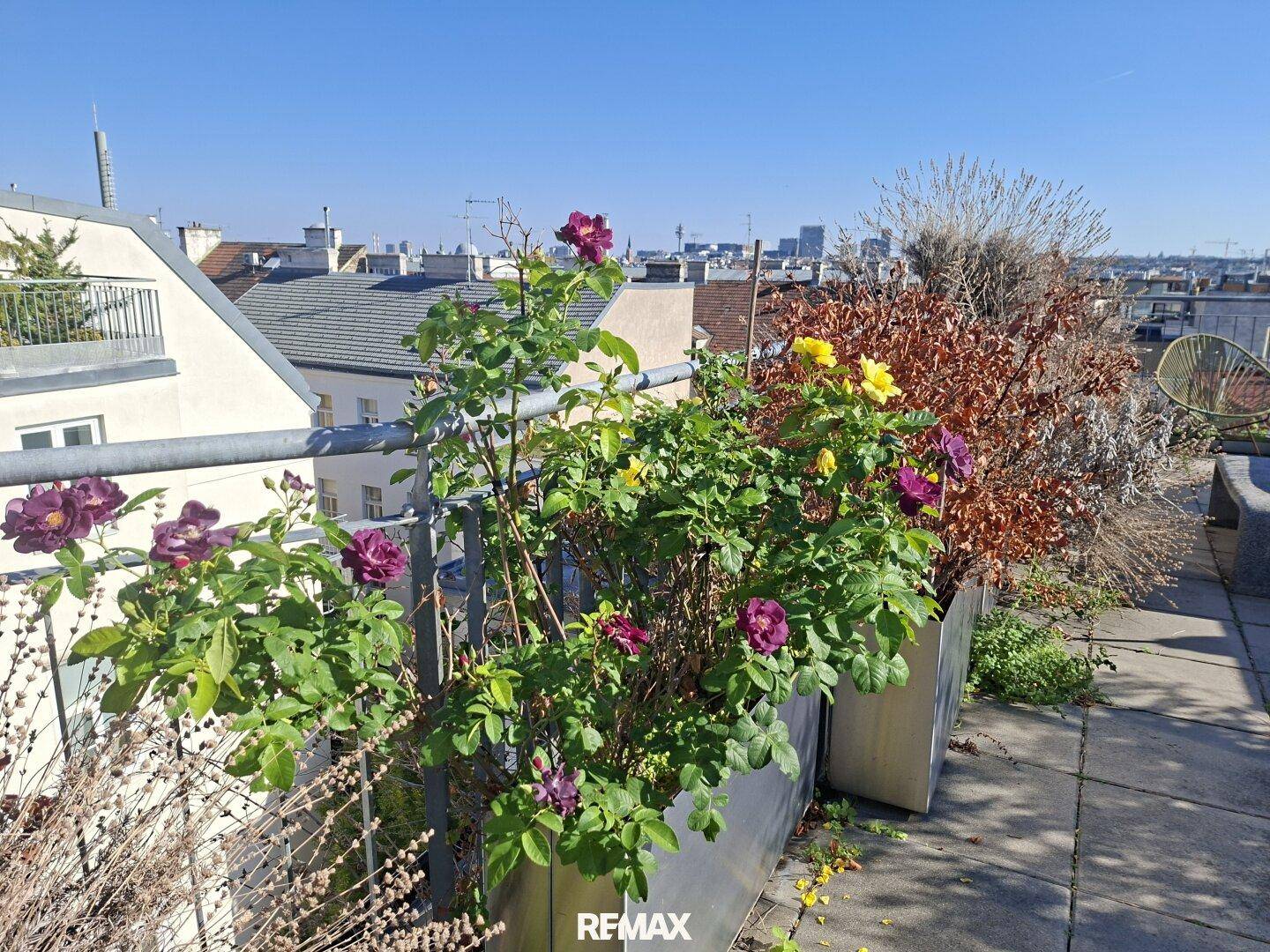 Sonniger Bereich der Dachterrasse mit blühenden Pflanzen in Kübeln und Stadtpanorama.