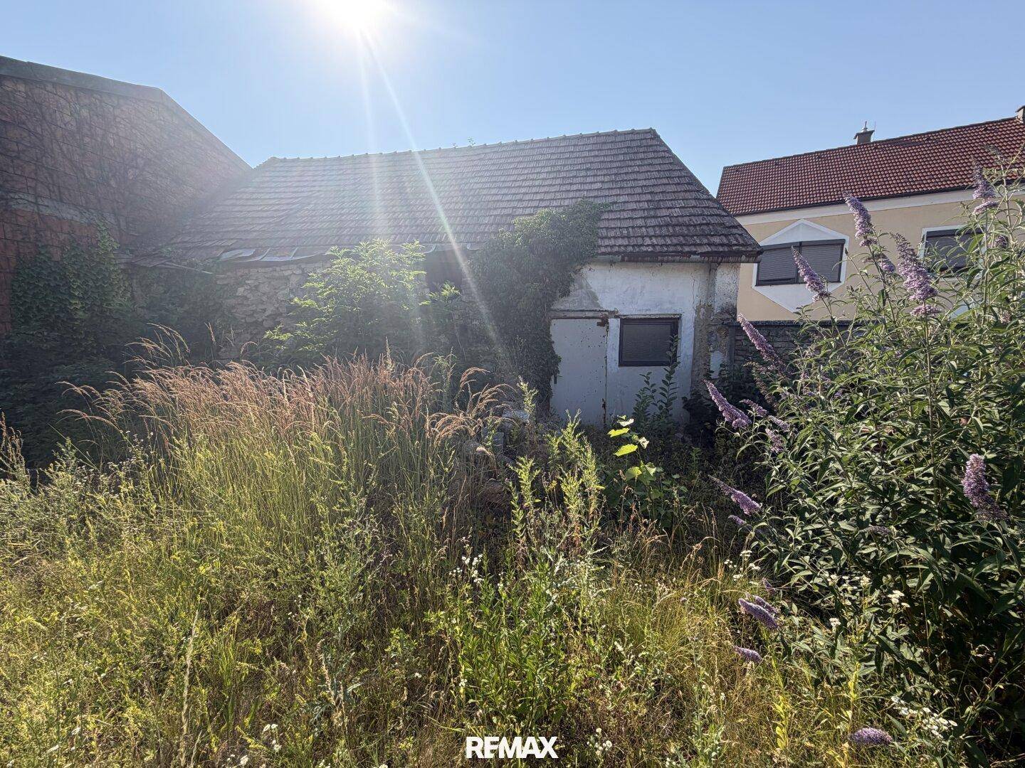 Seitenansicht eines Nebengebäudes mit verwildertem Garten und viel Grün.