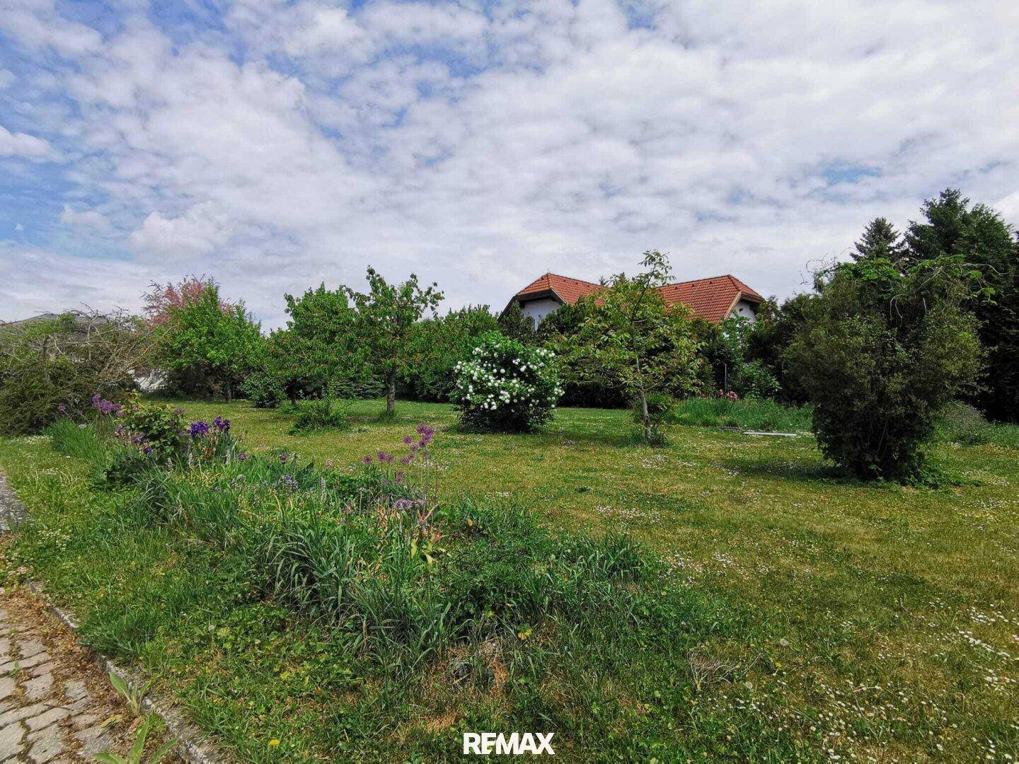 Weitläufiger Garten mit Rasen, Bäumen und einem Haus im Hintergrund an einem sonnigen Tag.