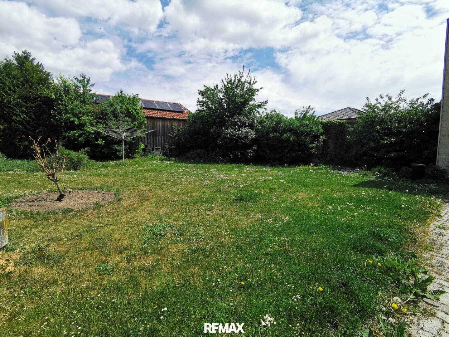Gepflegte Rasenfläche im Garten mit Bäumen und einem Gebäude mit Solaranlage im Hintergrund.