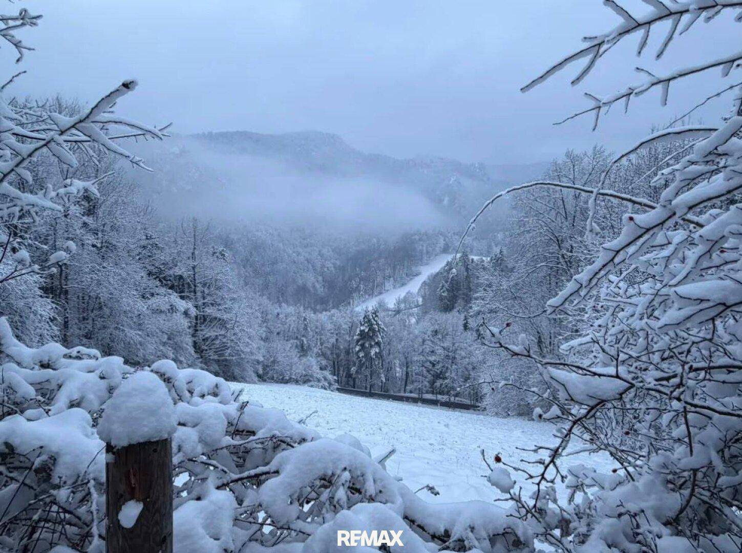 Malerisches, schneebedecktes Tal mit dichten Wäldern und einer Straße, die sich durch die winterliche Landschaft schlängelt.