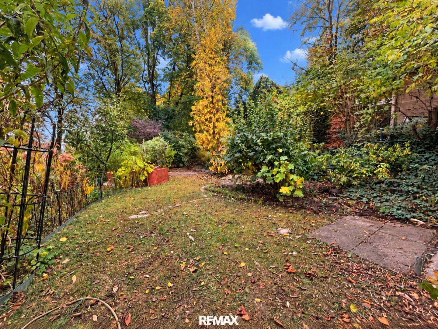 Rasenfläche im Garten mit herbstlichem Laub und umgebenden Bäumen.