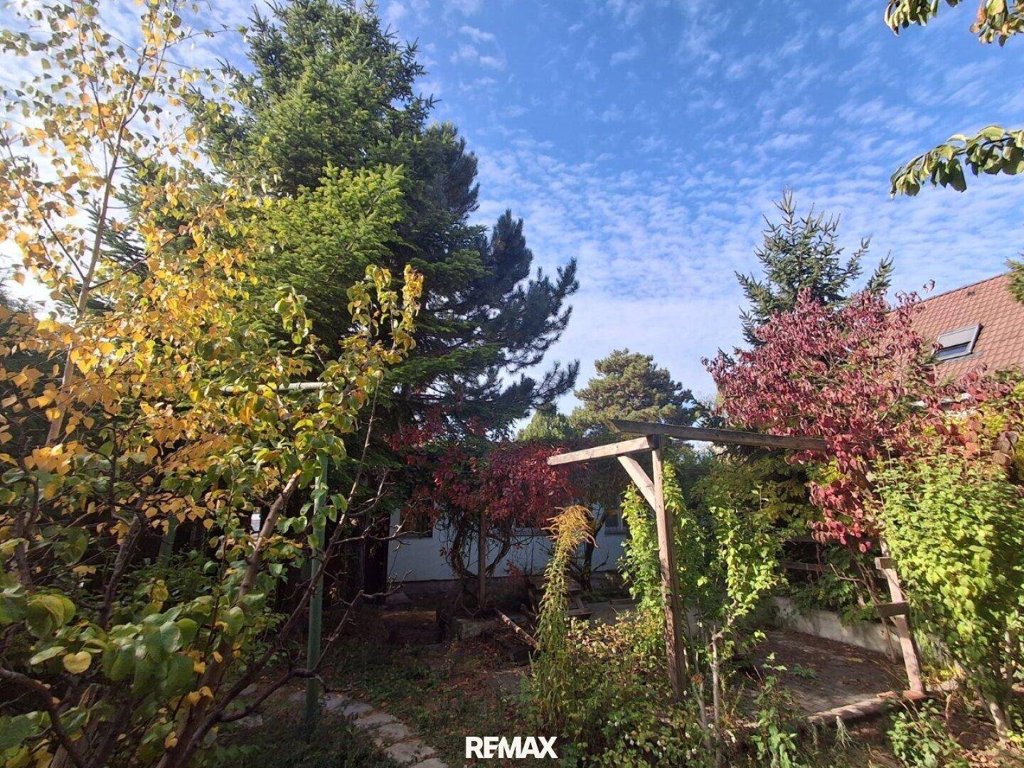 Herbstlicher Garten mit hohen Bäumen und bunter Laubfärbung unter blauem Himmel.