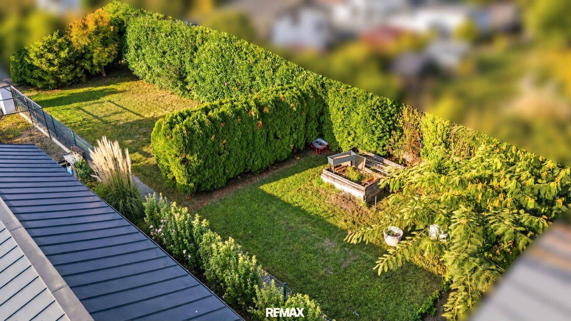 Gepflegter Gartenbereich mit hohen Hecken, Rasenfläche und erhöhten Pflanzbeeten.