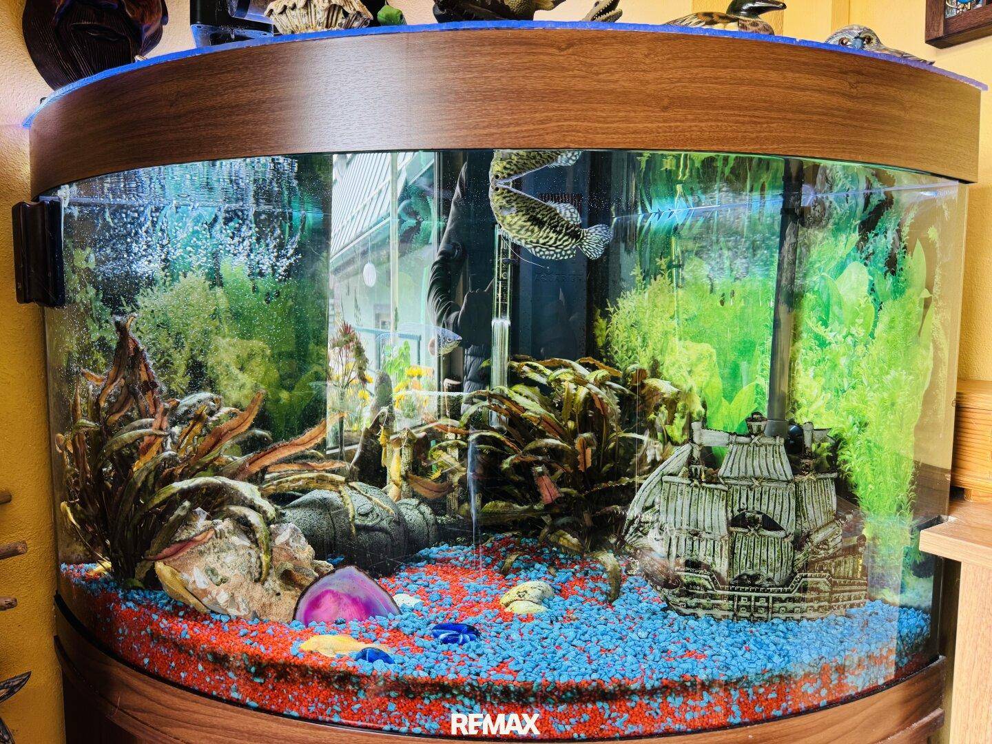 16 Aquarium