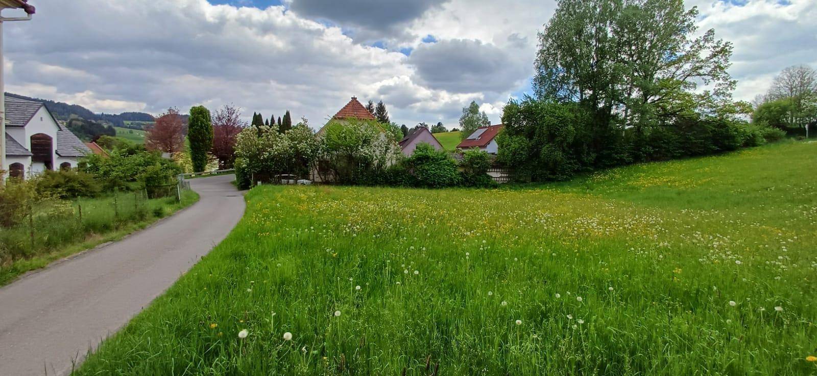 Grünes Grundstück mit Wiese und Löwenzahn, umgeben von einer Straße und Wohnhäusern in hügeliger Landschaft.