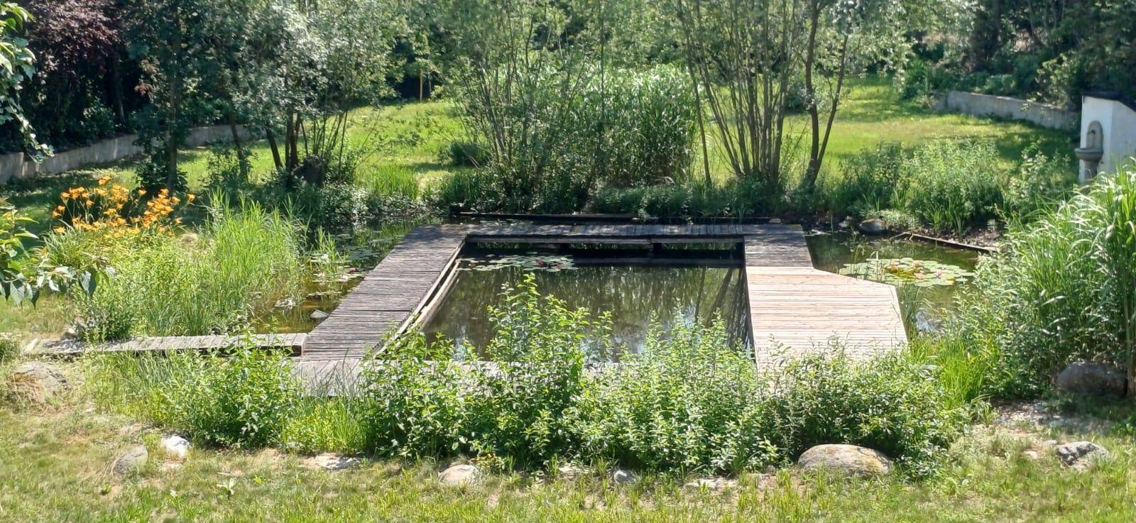 Natürlicher Teich mit Holzstegen, umgeben von üppiger Vegetation und Rasenflächen im Gartenbereich.