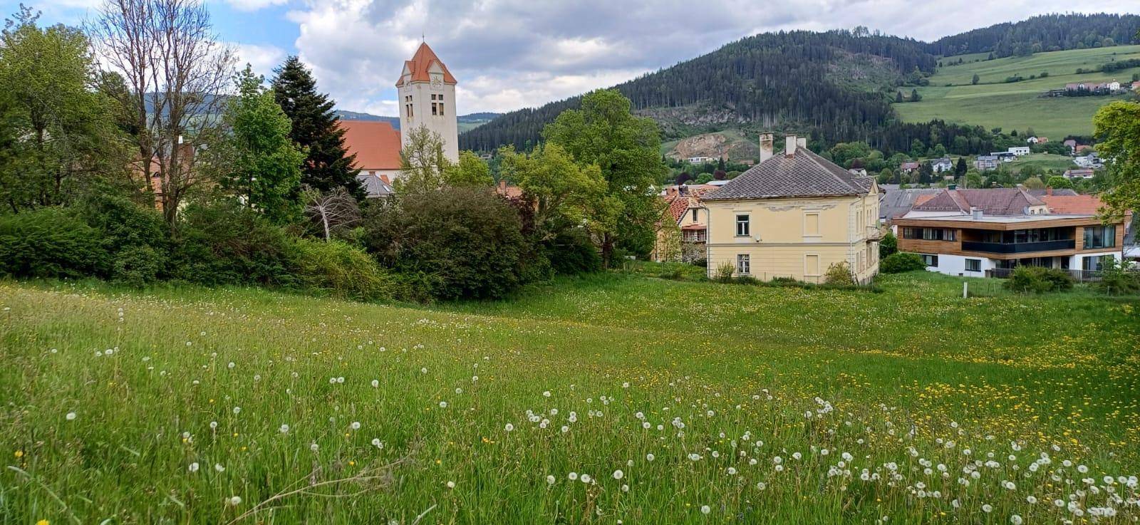 Grüne Wiese mit Blick auf ein Dorf mit Kirche und Wohnhäusern vor einer Kulisse bewaldeter Hügel.