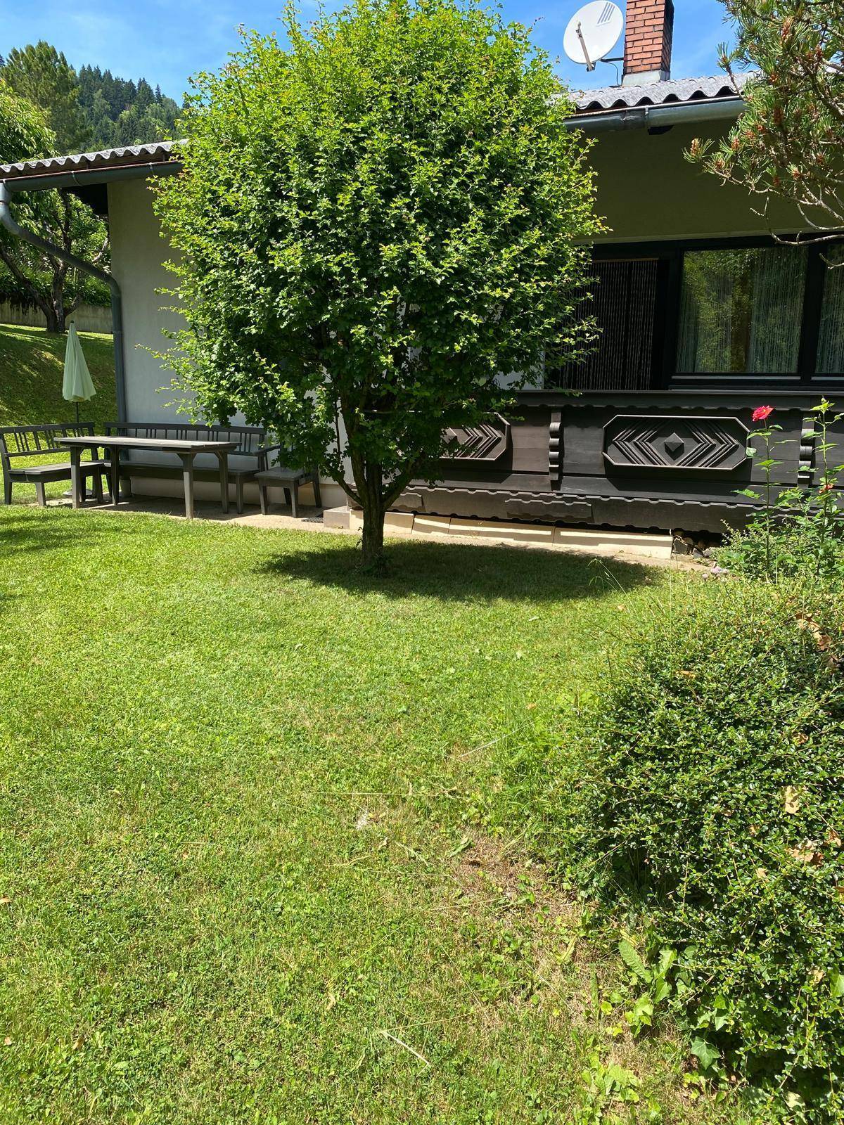 Gepflegter Gartenbereich mit Rasenfläche, Baum und Sitzgelegenheiten unter einem Vordach.