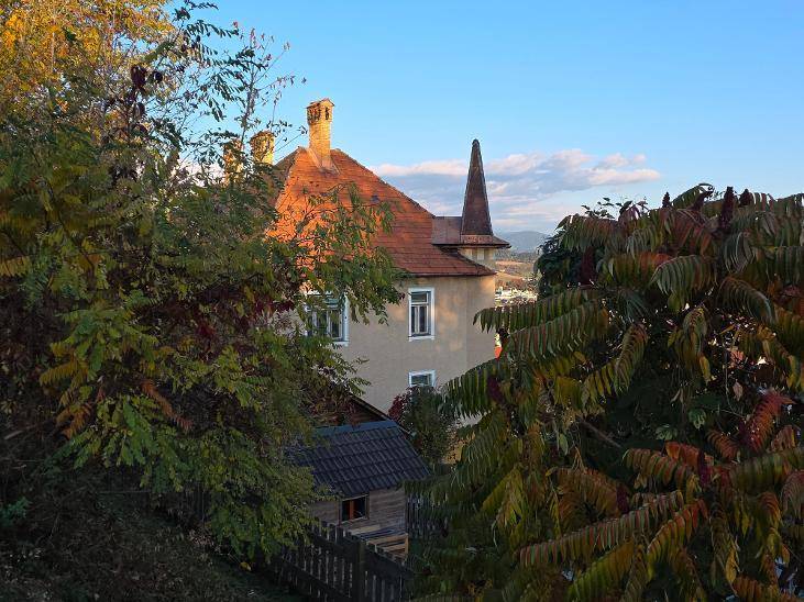 Historisches Gebäude mit Turm und rotem Dach, teilweise verdeckt von herbstlichem Laub.