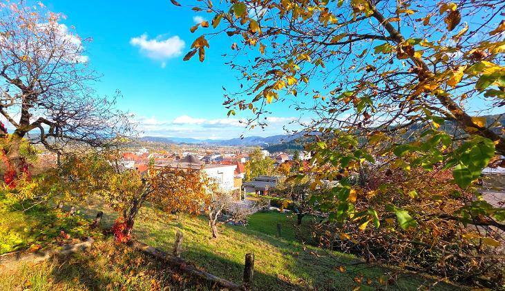 Weitläufiger Blick über die Stadt und die umliegende Landschaft mit herbstlichen Bäumen.