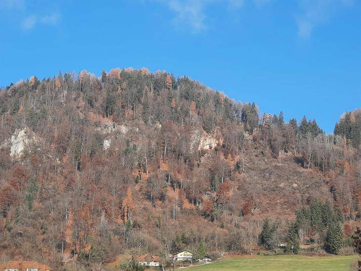 Bewaldeter Berghang mit herbstlicher Vegetation und klarem Himmel über einer ländlichen Landschaft.