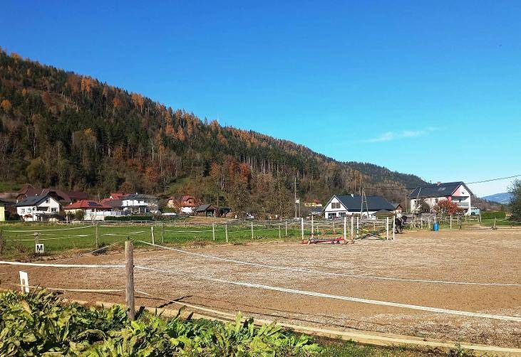Weitläufiger Reitplatz mit Hindernissen und ländlicher Bebauung am Waldrand unter blauem Himmel.