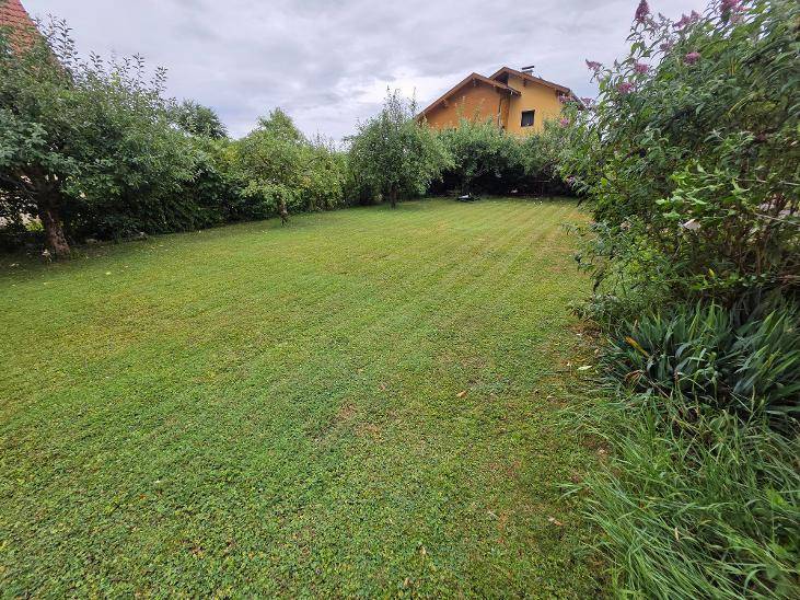 Neuer Preis: Maria Saal, Tiny House (Bungalow) ca. 60 m² , Garagen mit Carport, großes Grundstück - Ansicht 3