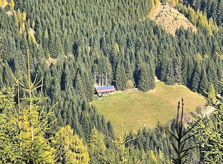 Eine kleine Holzhütte liegt idyllisch auf einer Lichtung, umgeben von dichtem Wald in den Bergen.