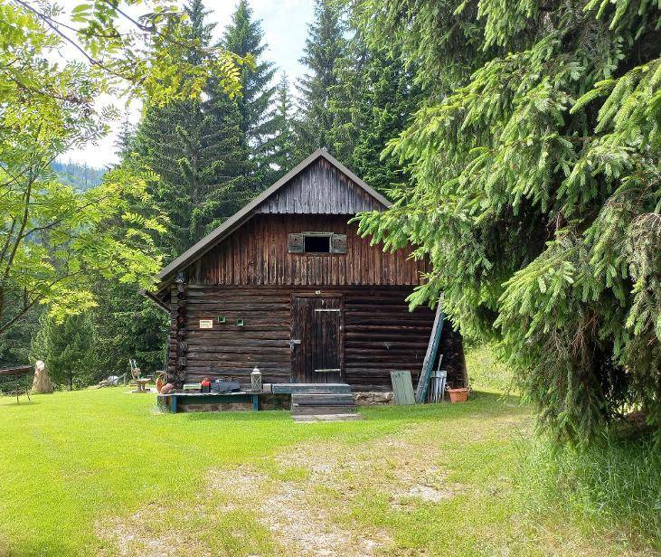 Rustikale Holzhütte mit Giebeldach, umgeben von grünen Wiesen und hohen Bäumen in der Natur.