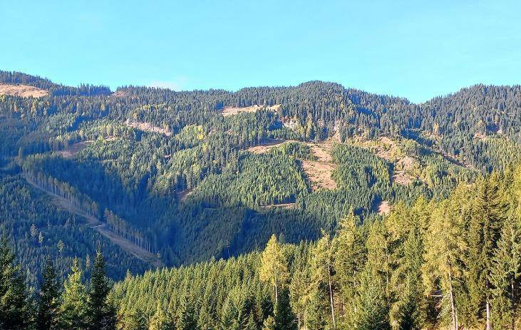 Weitläufige Berglandschaft mit dichten, grünen Wäldern unter einem klaren blauen Himmel.