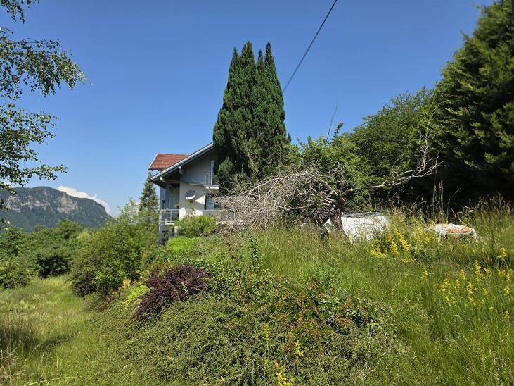 Naturbelassener Gartenbereich mit hohem Gras und Bäumen, das Haus ist im Hintergrund sichtbar.