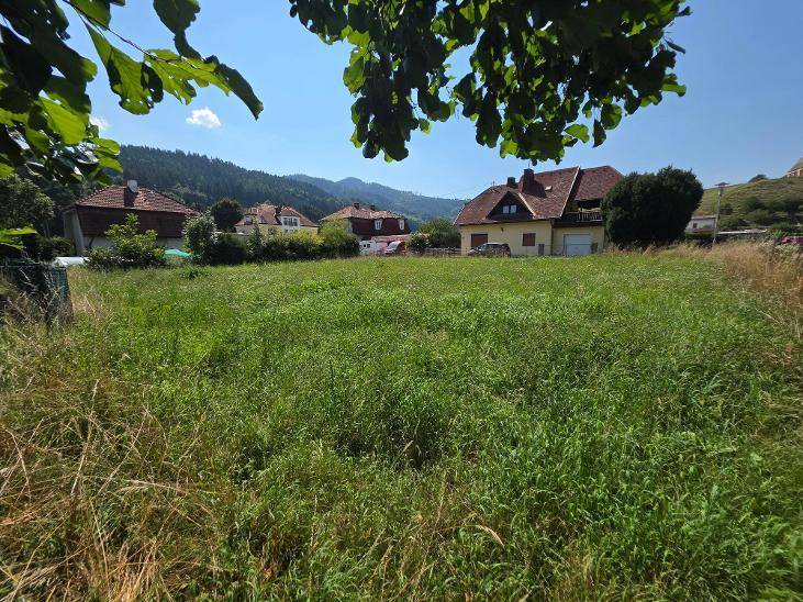 Weitläufige grüne Wiese mit traditionellen Häusern und bewaldeten Bergen im Hintergrund.