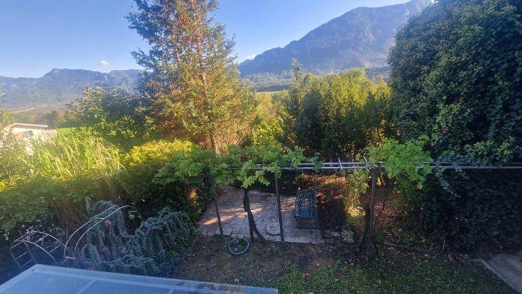 Sonniger Gartenbereich mit Weinreben und üppiger Vegetation, umgeben von Bergen.