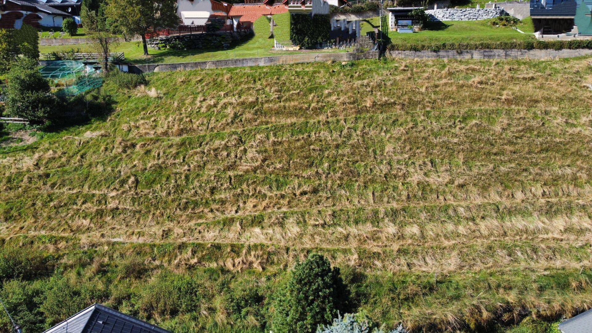 Luftaufnahme eines großen, grasbewachsenen Grundstücks, umgeben von Bäumen und einigen Wohnhäusern.