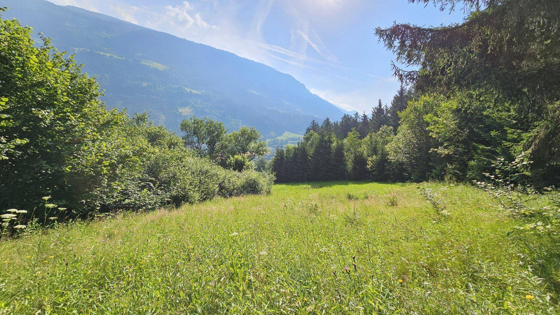 Panoramablick über eine grüne Wiese in ein Tal mit einem Dorf und bewaldeten Bergen.