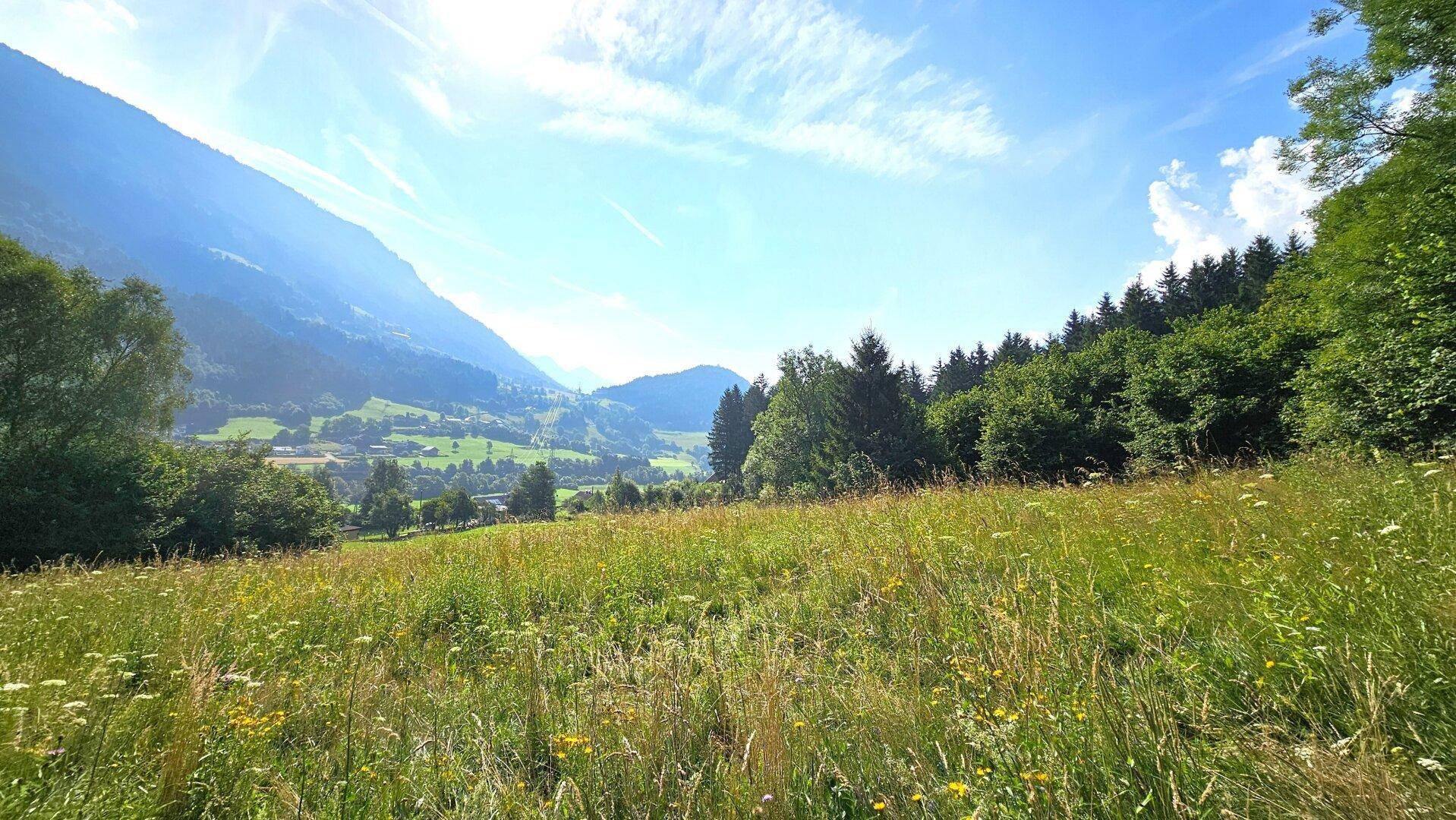 Weitläufige Wiesenlandschaft mit Panoramablick über ein sonniges Tal und die umliegenden Bergketten.