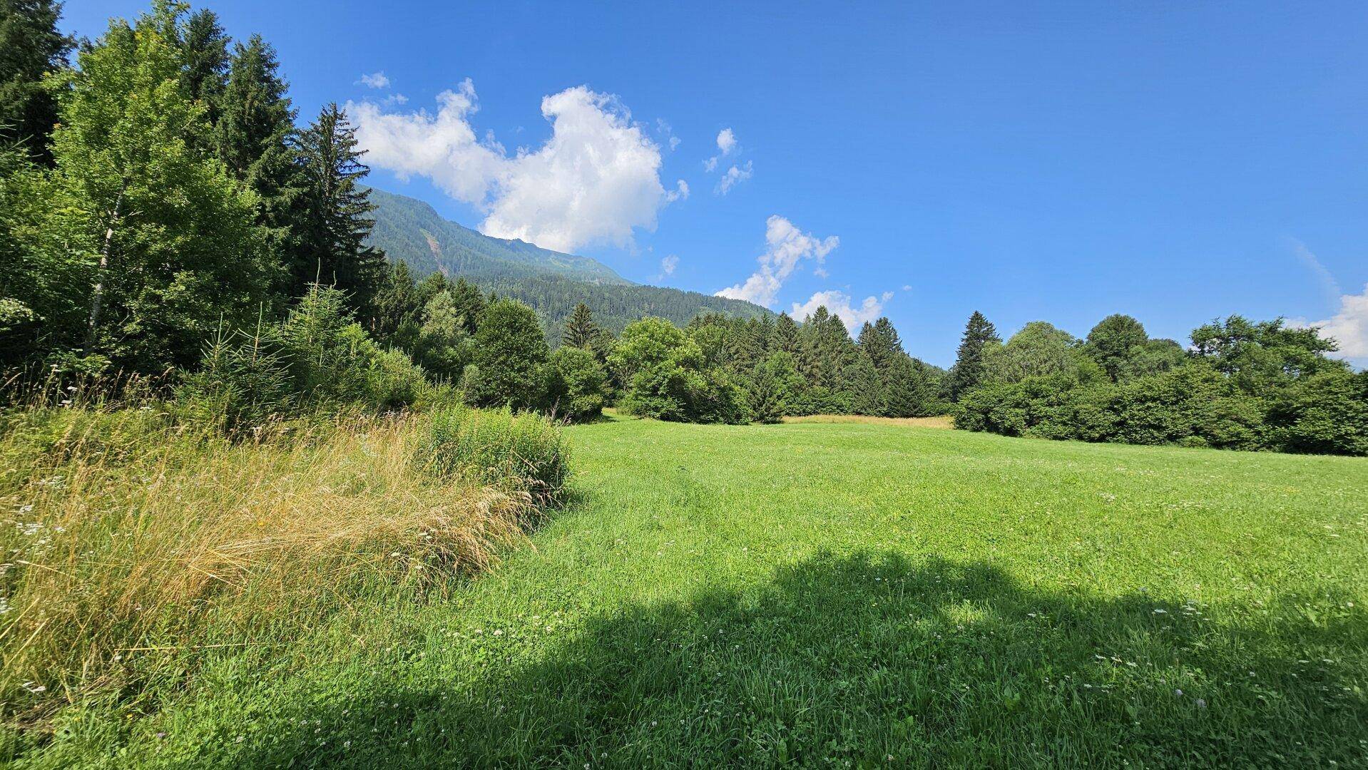 Sonnige Wiesenfläche mit üppiger Vegetation und einem beeindruckenden Panorama der umliegenden Bergwelt.