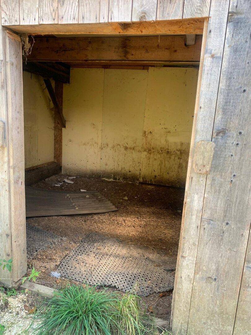 Einfacher Innenraum eines Holzschuppens mit gelblichen Wänden und einem offenen Eingangsbereich.