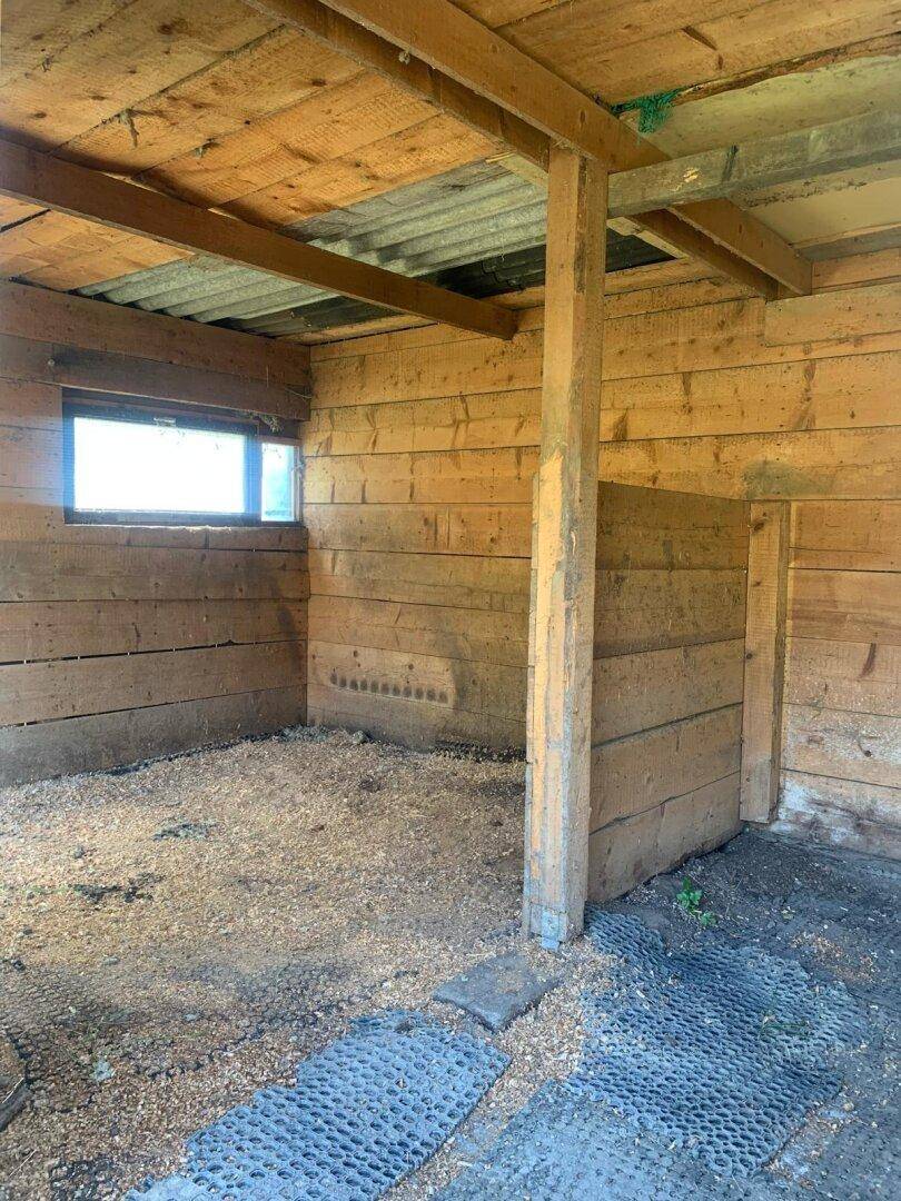 Innenansicht eines Holzschuppens mit Holzwänden, sichtbaren Balken und einem kleinen Fenster.
