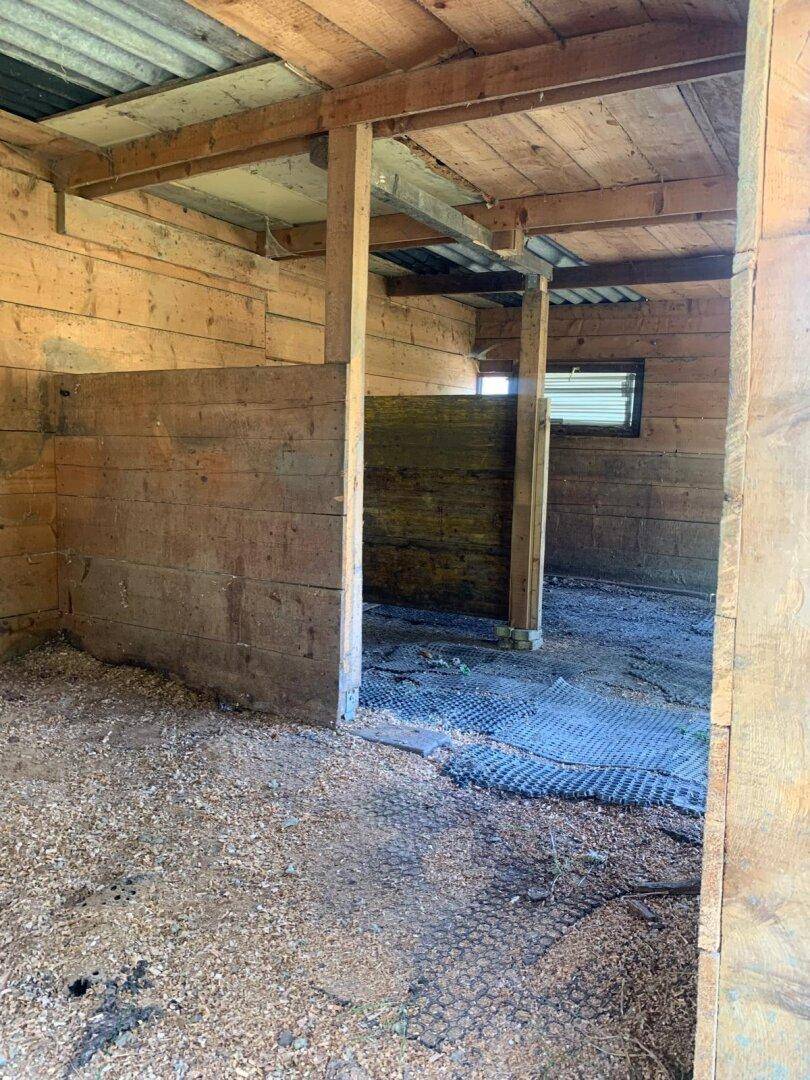 Geräumiger Innenraum eines Holzschuppens mit Holzwänden, sichtbaren Balken und natürlichem Lichteinfall.