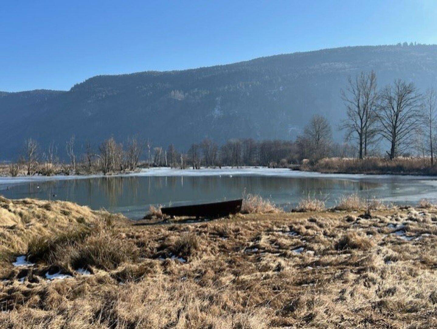 Teilweise zugefrorener See mit trockenem Schilf, einem Boot am Ufer und Bergen im Hintergrund.