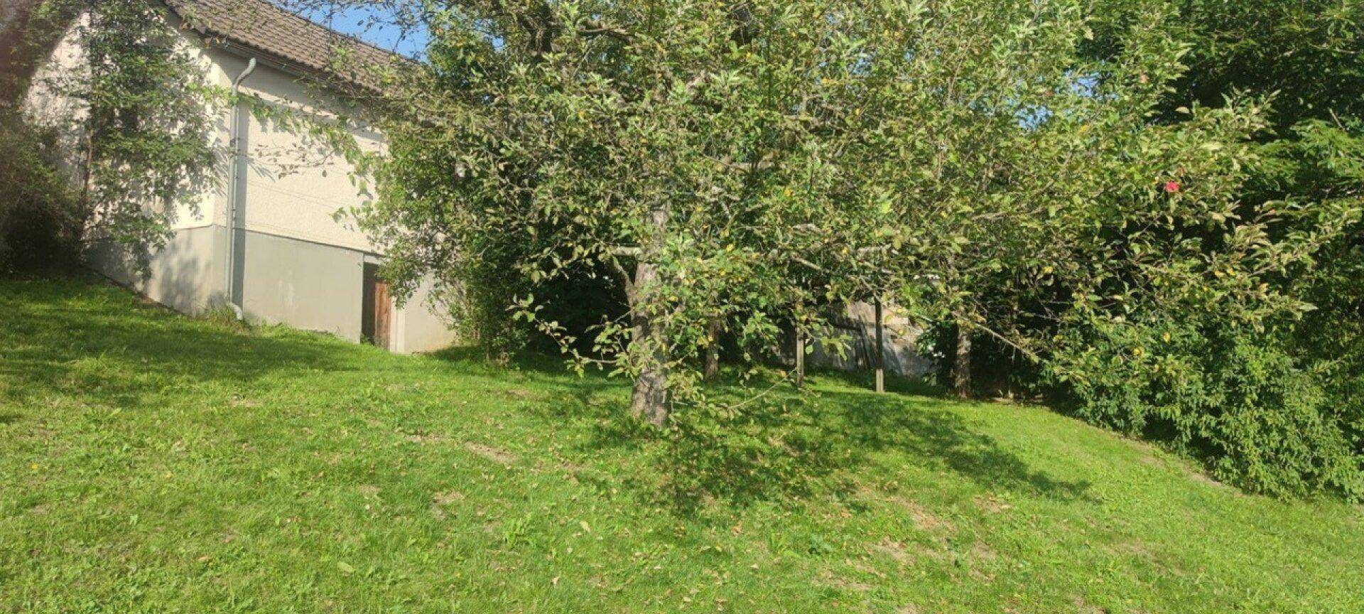 Grüner Gartenbereich mit Rasen und Bäumen, angrenzend an die Seitenfassade eines Gebäudes.