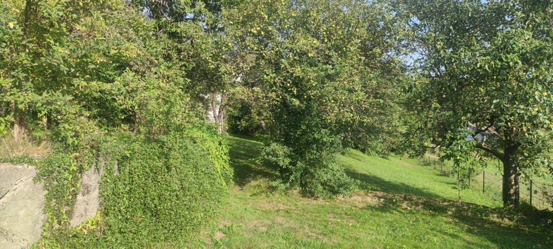 Natürlicher Gartenbereich mit viel Grün, Bäumen und einem Felsen, der in die Landschaft integriert ist.