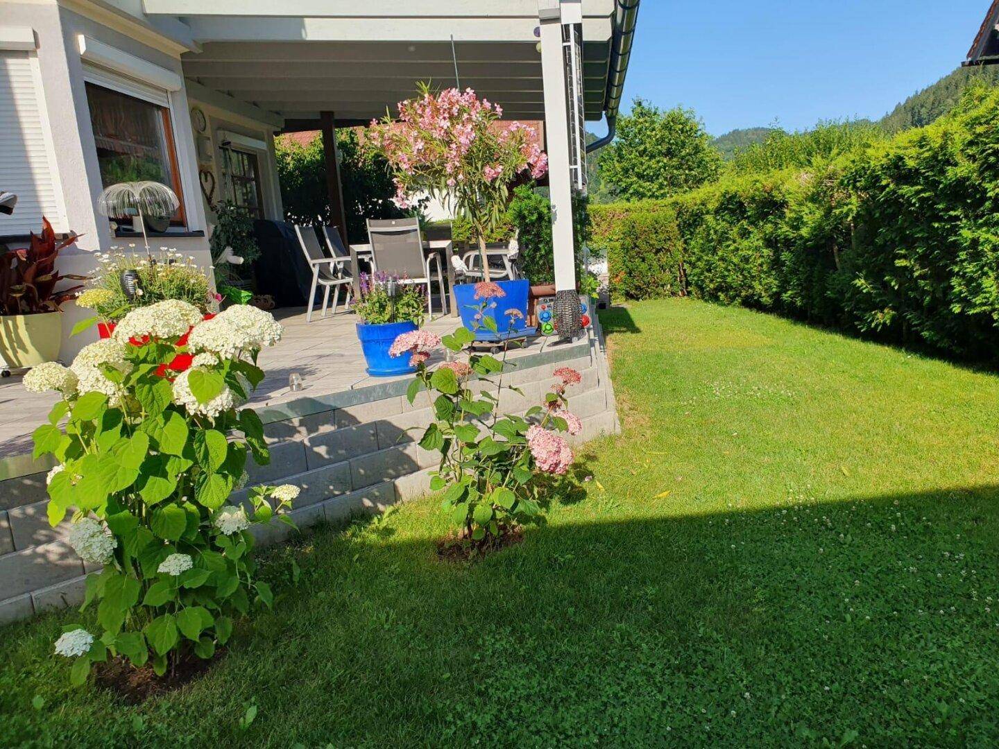 Gepflegter Rasenbereich im Garten mit blühenden Sträuchern und Blick zur Terrasse.