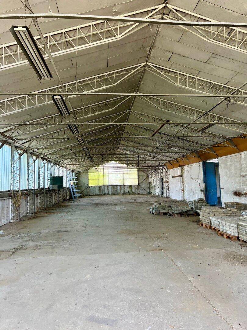 Große, leere Lagerhalle mit hoher Fachwerkkonstruktion an der Decke und Betonboden.