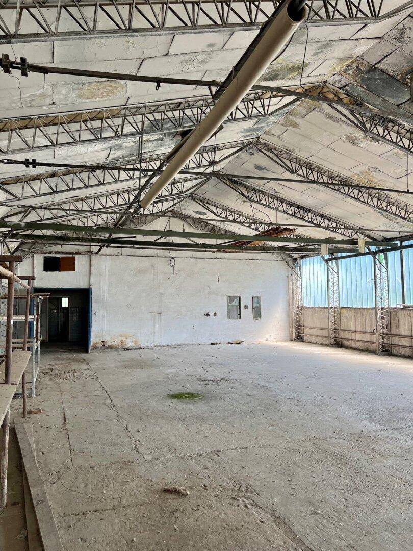 Weitläufige Lagerhalle mit hoher Deckenkonstruktion, Betonboden und Regalsystemen an der Seite.