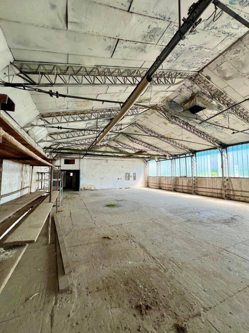 Geräumige Lagerhalle mit hoher Deckenkonstruktion, Betonboden und Fensterfronten für Tageslicht.