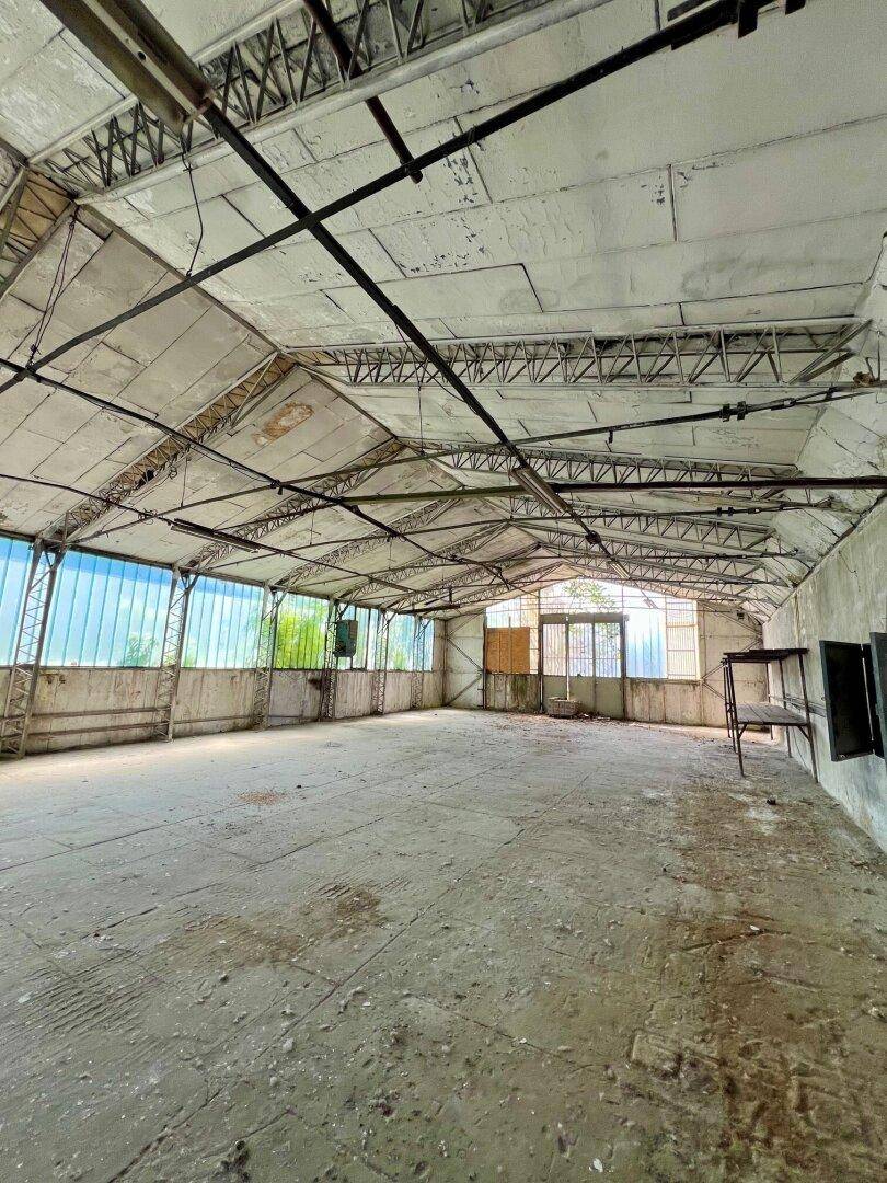 Innenansicht einer großen Lagerhalle mit hoher Decke, Betonboden und seitlichen Fensterbereichen.
