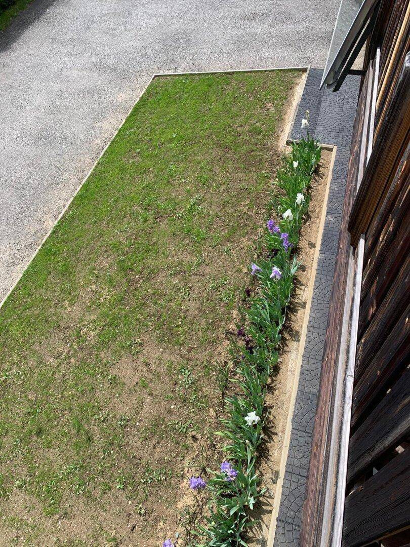 Gepflegte Rasenfläche mit Blumenbeet entlang des Gebäudes und gepflastertem Weg.
