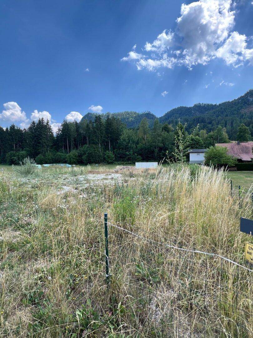 Großes Grundstück mit hohem Gras und bewaldeten Bergen im Hintergrund unter blauem Himmel.