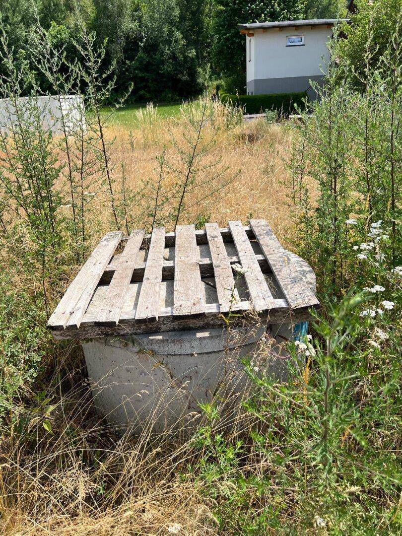 Eine Betonstruktur mit einer Holzpalette bedeckt, umgeben von hohem Gras auf dem Grundstück.