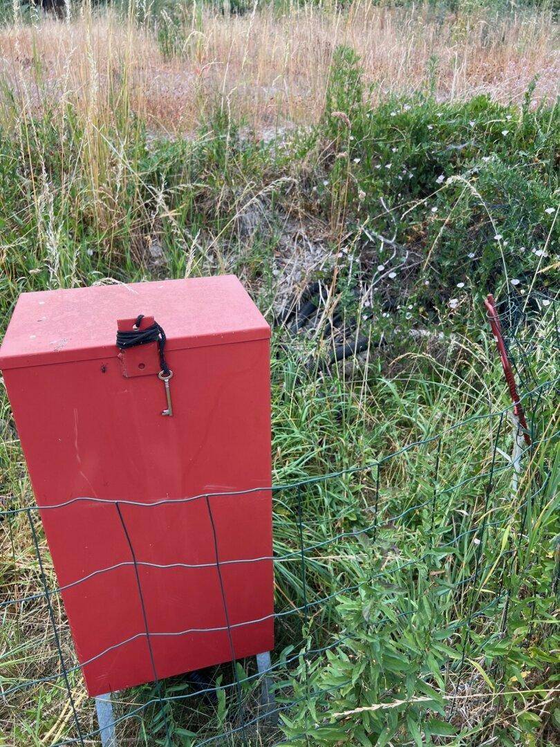 Eine rote Metallbox mit einem Schlüssel, umgeben von hohem Gras und einem Drahtzaun.