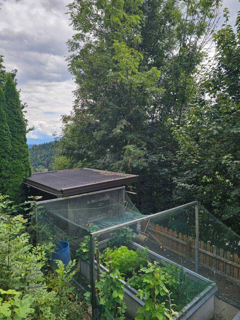 Gartenbereich mit Hochbeeten, einem kleinen Schuppen und üppigen Bäumen, mit Blick auf die Hügellandschaft.